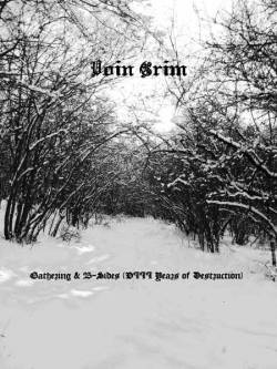 Voin Grim : Gathering & B​-​Sides (VIII Years of Destruction)